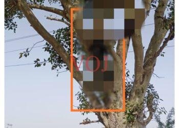 ಉತ್ತರ ಪ್ರದೇಶದ ಯುವಕ ನೇಣಿಗೆ ಶರಣು: