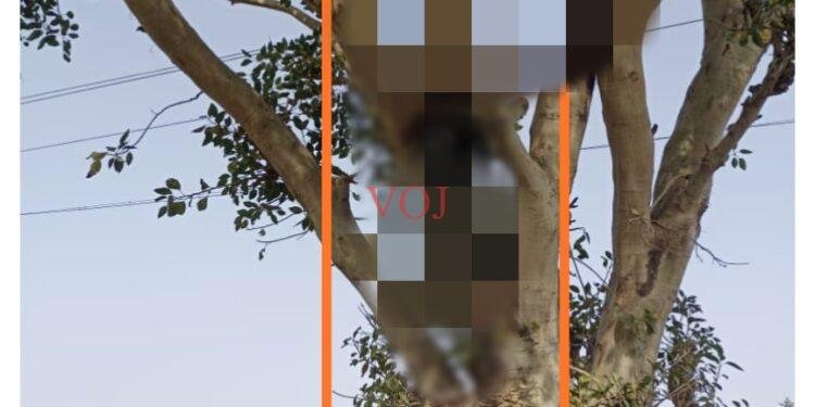 ಉತ್ತರ ಪ್ರದೇಶದ ಯುವಕ ನೇಣಿಗೆ ಶರಣು: