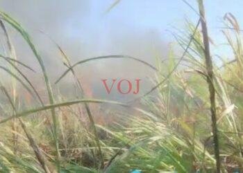 ಆಕಸ್ಮಿಕ ಬೆಂಕಿ ಲಕ್ಷಾಂತರ ಮೌಲ್ಯದ ಕಬ್ಬು ಭಸ್ಮ..