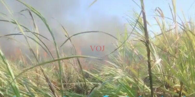 ಆಕಸ್ಮಿಕ ಬೆಂಕಿ ಲಕ್ಷಾಂತರ ಮೌಲ್ಯದ ಕಬ್ಬು ಭಸ್ಮ..