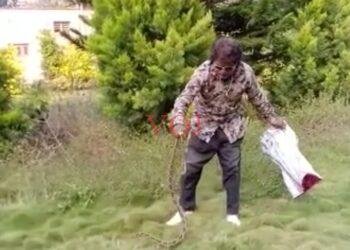 ಬರಗೈಯಿಂದ ಹಾವು ರಕ್ಷಣೆ.