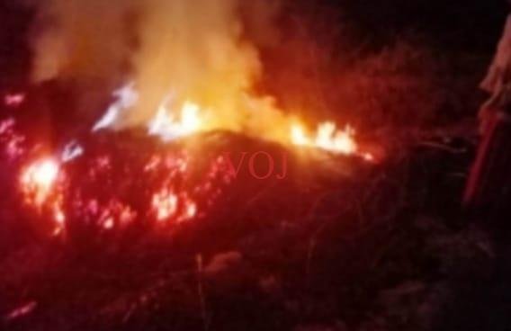 ಆಕಸ್ಮಿಕ ಬೆಂಕಿಗೆ ಮೇವಿನ ಬಣವಿ ಭಸ್ಮ: