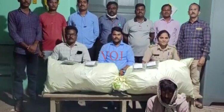 ಅಕ್ರಮವಾಗಿ ಸಂಗ್ರಹಿಸಿಟ್ಟಿದ್ದ ಬಾರಿ ಮೊತ್ತದ ಒಣಗಾಂಜಾ ಜಪ್ತಿ..