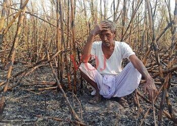 ಕಬ್ಬಿನ ತೋಟಕ್ಕೆ ಆಕಸ್ಮಿಕ ಬೆಂಕಿ; ರೈತ ಕಂಗಾಲು: