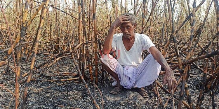 ಕಬ್ಬಿನ ತೋಟಕ್ಕೆ ಆಕಸ್ಮಿಕ ಬೆಂಕಿ; ರೈತ ಕಂಗಾಲು: