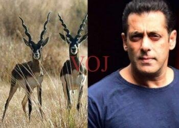 ಕೃಷ್ಣ ಮೃಗ ಬೇಟೆ ಪ್ರಕರಣ; ಸಲ್ಮಾನ್​ ಖಾನ್​​ಗೆ ತಾತ್ಕಾಲಿಕ​ ರಿಲೀಫ್​​: