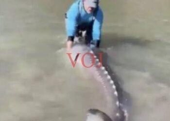 100 ವರ್ಷಕ್ಕೂ ಹಳೆಯ ಮೀನನ್ನು ಹಿಡಿದ ಫೀಶರ್ ಮ್ಯಾನ್: