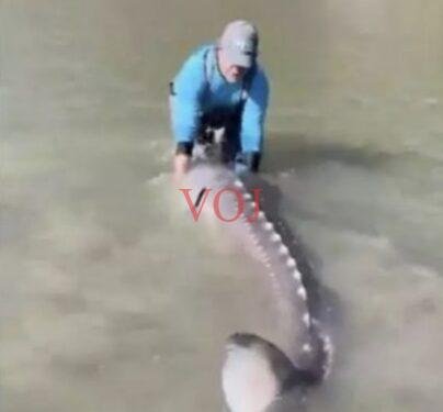 100 ವರ್ಷಕ್ಕೂ ಹಳೆಯ ಮೀನನ್ನು ಹಿಡಿದ ಫೀಶರ್ ಮ್ಯಾನ್: