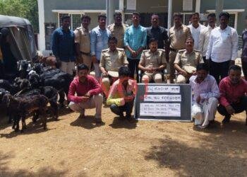 ಆಡುಗಳನ್ನು ಕಳ್ಳತನ ಮಾಡುತ್ತಿದ್ದ ಗ್ಯಾಂಗ್ ನ್ನು ಲಾಕ್ ಮಾಡಿದ ಖಾಕಿ ಪಡೆ: