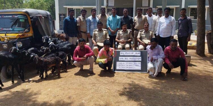 ಆಡುಗಳನ್ನು ಕಳ್ಳತನ ಮಾಡುತ್ತಿದ್ದ ಗ್ಯಾಂಗ್ ನ್ನು ಲಾಕ್ ಮಾಡಿದ ಖಾಕಿ ಪಡೆ: