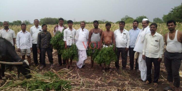 ಕಾಡು ವೇಷ ಧರಿಸಿ ಎಮ್ಮೆಯ ಮೇಲೆ‌ ಕುಳಿತು ಬಿಜೆಪಿ ಸರಕಾರ ವಿರುದ್ದ ಬೃಹತ್ ಪ್ರತಿಭಟನೆ..!