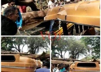 ಚಲಿಸುತ್ತಿದ್ದ ಆಟೋ ಮೇಲೆ ಬೃಹತ್ ಮರವೊಂದು ಉರುಳಿ ಮೂವರ ಸ್ಥಿತಿ ಗಂಭೀರ !