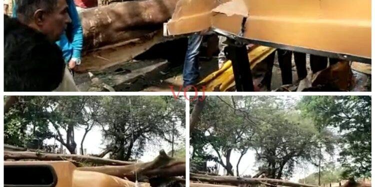 ಚಲಿಸುತ್ತಿದ್ದ ಆಟೋ ಮೇಲೆ ಬೃಹತ್ ಮರವೊಂದು ಉರುಳಿ ಮೂವರ ಸ್ಥಿತಿ ಗಂಭೀರ !