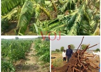 ಅಕಾಲಿಕ ಗಾಳಿ,ಮಳೆಗೆ ಲಕ್ಷಾಂತರ ಮೌಲ್ಯದ ಈರುಳ್ಳಿ, ಬಾಳೆ ಹಣ್ಣು ನಾಶ…