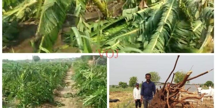 ಅಕಾಲಿಕ ಗಾಳಿ,ಮಳೆಗೆ ಲಕ್ಷಾಂತರ ಮೌಲ್ಯದ ಈರುಳ್ಳಿ, ಬಾಳೆ ಹಣ್ಣು ನಾಶ…