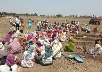 ನರೇಗಾ ಕೂಲಿ ಕಾರ್ಮಿಕರಿಗೆ ಶುಭಕೋರಿದ ಪ್ರೀತು ದಶವಂತ: