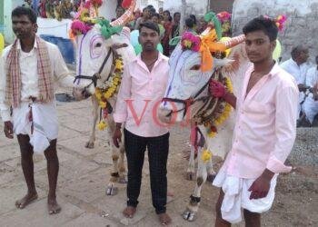 ಮುಂಗಾರಿ ಆರಂಭದ ಮೊದಲ ಹಬ್ಬ ಕಾರಹುಣ್ಣಿಮೆ ಆಚರಣೆ: