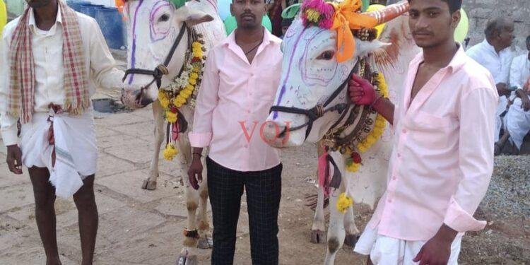 ಮುಂಗಾರಿ ಆರಂಭದ ಮೊದಲ ಹಬ್ಬ ಕಾರಹುಣ್ಣಿಮೆ ಆಚರಣೆ: