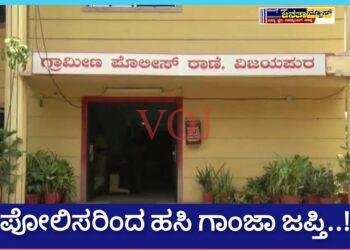 ಪೋಲಿಸರಿಂದ ಹಸಿ ಗಾಂಜಾ ಜಪ್ತಿ..!