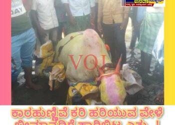 ಕರಿ ಹರಿಯುವ ವೇಳೆ ಭೀಮಾನದಿಗೆ ಹಾರಿಬಿಟ್ಟ ಎತ್ತು..!