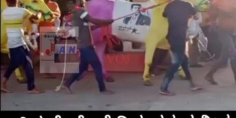 ಎತ್ತಿನ ಮೈಮೇಲೆ ದಿವಂಗತ ಪುನೀತ ರಾಜಕುಮಾರ ಭಾವಚಿತ್ರ..!