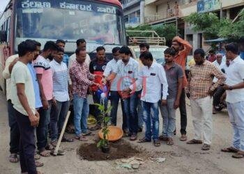 ರಾಷ್ಟ್ರೀಯ ಹೆದ್ದಾರಿಯ ಮೇಲೆ ಗಿಡ ನೆಡುವ ಮೂಲಕ ವಿನೂತನ ಪ್ರತಿಭಟನೆ..!
