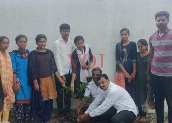 ೭೫ ನೇ ಸ್ವಾತಂತ್ರ್ಯ ಅಮೃತ ಮಹೋತ್ಸವ ಅಂಗವಾಗಿ ಸಸಿ ನೇಡುವ ಕಾರ್ಯಕ್ರಮ: