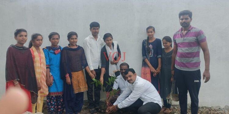 ೭೫ ನೇ ಸ್ವಾತಂತ್ರ್ಯ ಅಮೃತ ಮಹೋತ್ಸವ ಅಂಗವಾಗಿ ಸಸಿ ನೇಡುವ ಕಾರ್ಯಕ್ರಮ: