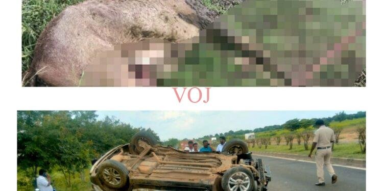 ಚಲಿಸುತ್ತಿದ್ದ ಕಾರಿಗೆ ಅಡ್ಡ ಬಂದ ಕುದುರೆ…ಮುಂದೆ ಏನಾಯಿತು..!