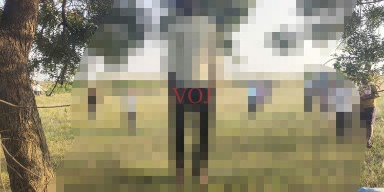 ಯುವಕ ನೇಣಿಗೆ ಶರಣು..!