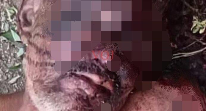 ಅಪರಿಚಿತ ವ್ಯಕ್ತಿಯ ಶವ ಪತ್ತೆ; ತನಿಖೆ ಚುರುಕುಗೊಳಿಸಿದ ಪೊಲೀಸರು: