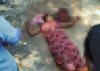 ಮರದಲ್ಲಿದ್ದ ಹುಣಸೆ ಹಣ್ಣು ಕೀಳುವಾಗ ಆಯತಪ್ಪಿ ಬಿದ್ದು ಮಹಿಳೆ ಸಾವು..+