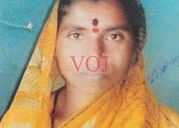 ಇಂಡಿಯಲ್ಲಿ ಹಾವು ಕಡಿತದಿಂದ ರೈತ ಮಹಿಳೆ ಸಾವು..!