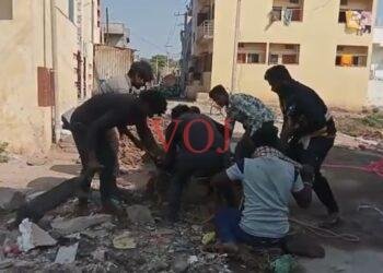 ನಗರದಲ್ಲಿ ಹಂದಿಗಳ ಹಾವಳಿ ಹಿನ್ನೆಲೆ ಕಾರ್ಯಾಚಾರಣೆ : ಪಾಲಿಕೆ ಆಯುಕ್ತ ಮೆಕ್ಕಳಕಿ