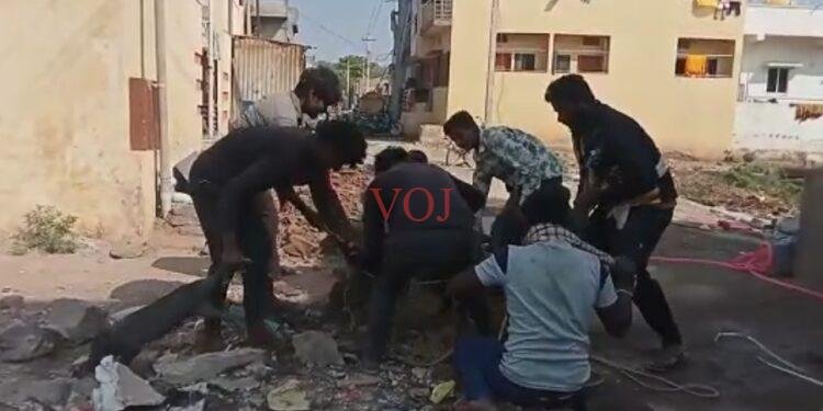 ನಗರದಲ್ಲಿ ಹಂದಿಗಳ ಹಾವಳಿ ಹಿನ್ನೆಲೆ ‌ಕಾರ್ಯಾಚಾರಣೆ : ಪಾಲಿಕೆ ಆಯುಕ್ತ ಮೆಕ್ಕಳಕಿ