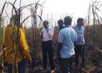 ಜಮೀನಿನಲ್ಲಿ ಆಕಸ್ಮಿಕವಾಗಿ ಶಾರ್ಟ್ ಸರ್ಕ್ಯೂಟ್,ಅಪಾರ ಪ್ರಮಾಣದ ಕಬ್ಬು ಭಸ್ಮ..