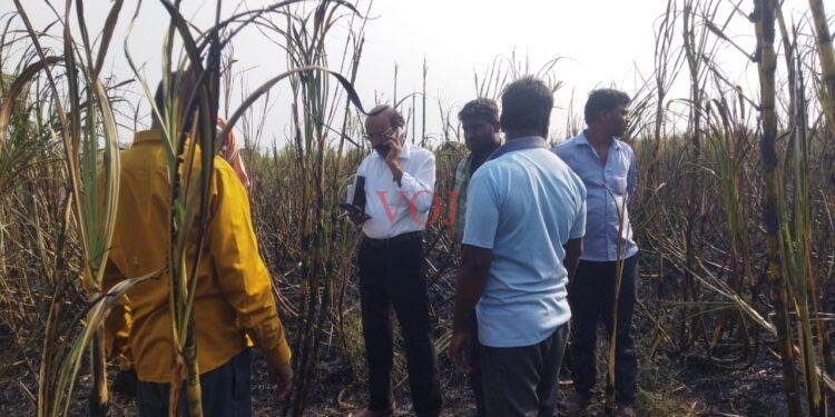 ಜಮೀನಿನಲ್ಲಿ ಆಕಸ್ಮಿಕವಾಗಿ ಶಾರ್ಟ್ ಸರ್ಕ್ಯೂಟ್‌,ಅಪಾರ ಪ್ರಮಾಣದ ಕಬ್ಬು ಭಸ್ಮ..