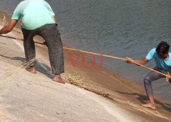 ಕಾಲುವೆಯಲ್ಲಿ ಎರಡು ಶವ ಪತ್ತೆ..!