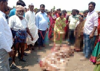 ತೆರೆದ ಬಾವಿಯಲ್ಲಿ ಈಜಲು ಹೊಗಿದ್ದ ಯುವಕ ಸಾವು..!