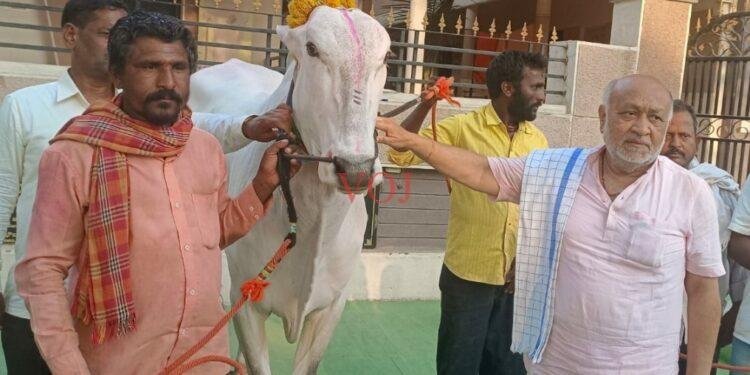 ಜಾನವಾರು ಜಾತ್ರೆ; ಬರಗುಡಿ ಕಿಲಾರಿ ಹೋರಿ ಚಾಂಪಿಯನ್..