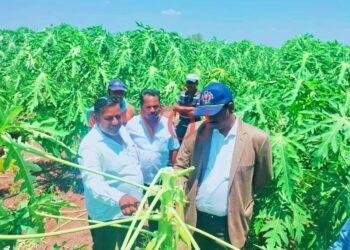 ಅಕಾಲಿಕ ಮಳೆ-ಗಾಳಿಗೆ ತೋಟದ ಮನೆಗಳ ಹಾನಿ..! ಸ್ಥಳಕ್ಕ ಜಿಲ್ಲಾಧಿಕಾರಿ ಬೇಟಿ..