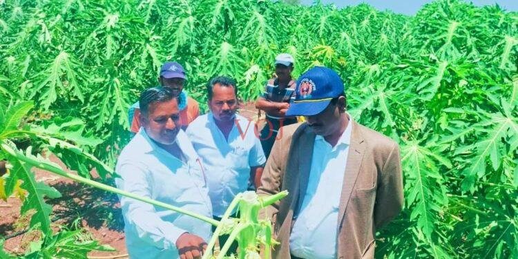 ಅಕಾಲಿಕ ಮಳೆ-ಗಾಳಿಗೆ ತೋಟದ ಮನೆಗಳ ಹಾನಿ..! ಸ್ಥಳಕ್ಕ ಜಿಲ್ಲಾಧಿಕಾರಿ ಬೇಟಿ..