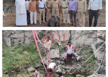 ಇಂಡಿ ಅಗ್ನಿಶಾಮಕ ಸಿಬ್ಬಂದಿಗಳ ಕಾರ್ಯಕ್ಕೆ ಮೆಚ್ಚುಗೆ..! ಯಾವುದಕ್ಕೆ ..?