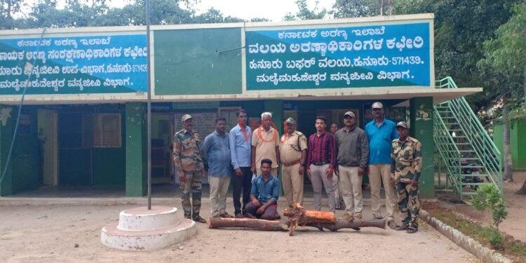 ಶ್ರೀಗಂಧ ಮರ ಕಟಾವು, ಓರ್ವನ ಬಂಧನ..!