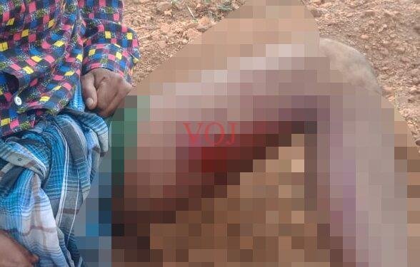 ಕರಡಿ ದಾಳಿ ವ್ಯಕ್ತಿಯೋರ್ವನಿಗೆ ಗಂಭೀರ ಗಾಯ..! ಆಗಿದ್ದು ಎಲ್ಲಿ..?