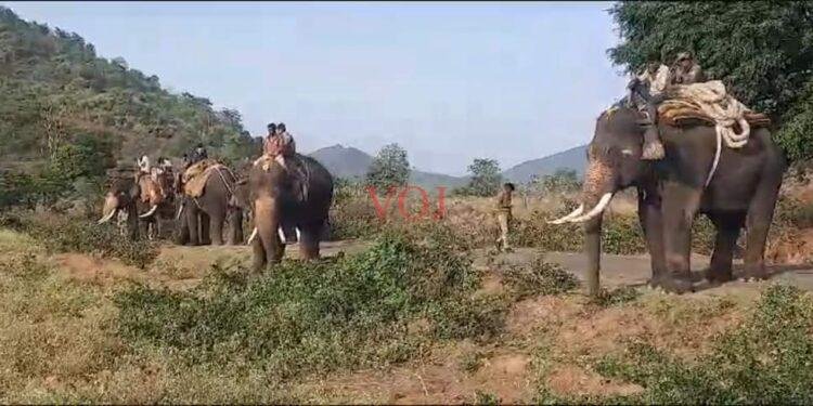 ಯಶಸ್ವಿ ಕಾರ್ಯಾಚರಣೆ ಕಾಡಾನೆ ಸೆರೆ..! ಎಲ್ಲಿ..?