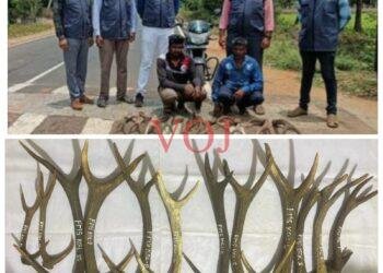 ಅಕ್ರಮ ಜಿಂಕೆಯ ಕೊಂಬು ಸಾಗಟ ಮಾಡುತ್ತಿದ್ದ ಇಬ್ಬರ ಬಂಧನ..!