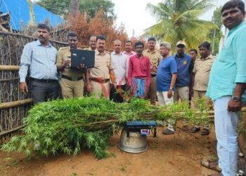 ಗಾಂಜಾ ಗಿಡಗಳನ್ನು ಅಕ್ರಮವಾಗಿ ಬೆಳೆದಿದ್ದ ವ್ಯಕ್ತಿಯ ಬಂಧನ..!