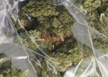 ಅಕ್ರಮ ಮಾವಾ..! ಇಬ್ಬರ ವಿರುದ್ಧ ಪ್ರಕರಣ ದಾಖಲು..