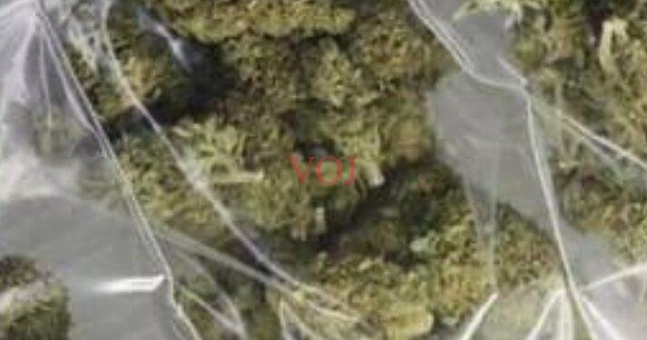 ಅಕ್ರಮ ಮಾವಾ..! ಇಬ್ಬರ ವಿರುದ್ಧ ಪ್ರಕರಣ ದಾಖಲು..